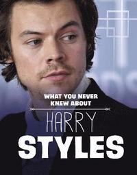 bokomslag What You Never Knew About Harry Styles