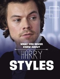 bokomslag What You Never Knew About Harry Styles