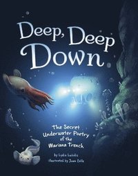 bokomslag Deep, Deep Down