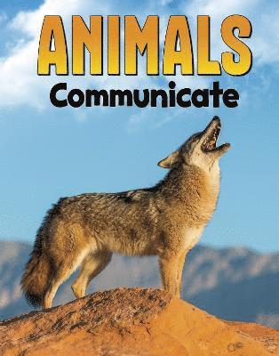 Animals Communicate 1
