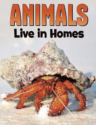 Animals Live in Homes 1