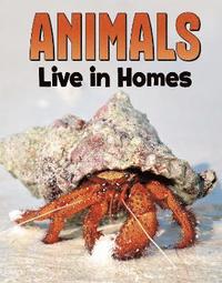 bokomslag Animals Live in Homes