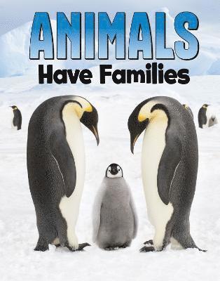 bokomslag Animals Have Families