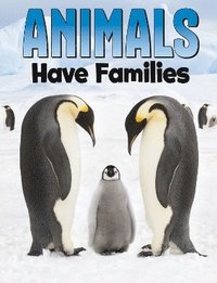 bokomslag Animals Have Families
