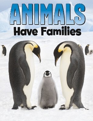 Animals Have Families 1