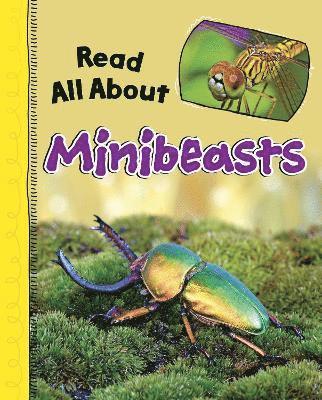 bokomslag Read All About Minibeasts