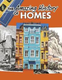 bokomslag The Amazing History of Homes