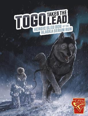 Bruce Berglund - Togo Takes the Lead, Häftad
