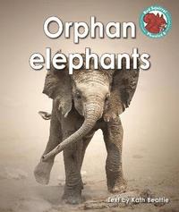bokomslag Orphan elephants