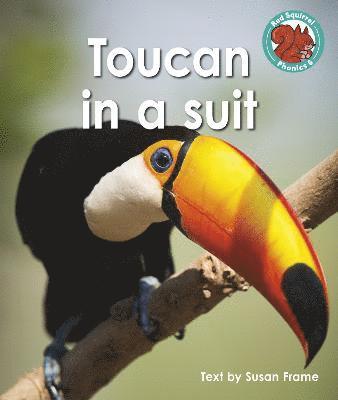 Toucan in a suit 1