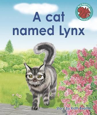 A cat named Lynx 1