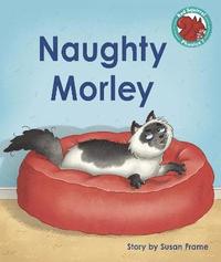 bokomslag Naughty Morley