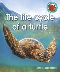 bokomslag The life cycle of a turtle