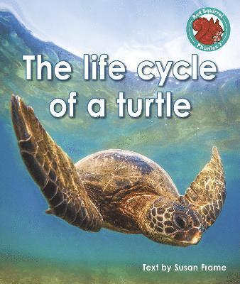 Susan Frame - life cycle of a turtle, Häftad