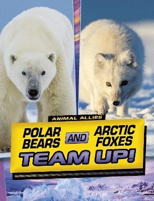 Polar Bears and Arctic Foxes Team Up! 1