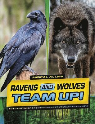 Stephanie True Peters - Ravens and Wolves Team Up!, Häftad