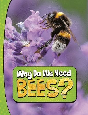 Why Do We Need Bees? 1