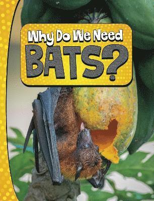 Why Do We Need Bats? 1