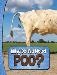 bokomslag Why Do We Need Poo?