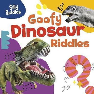 bokomslag Goofy Dinosaur Riddles