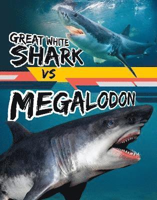 bokomslag Great White Shark vs Megalodon