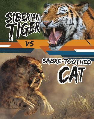 bokomslag Siberian Tiger vs Sabre-Toothed Cat