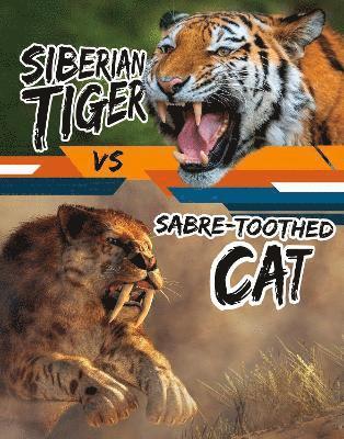 Siberian Tiger vs Sabre-Toothed Cat 1