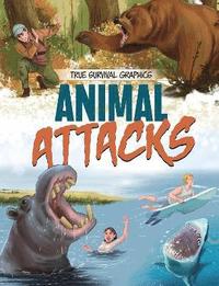 bokomslag Animal Attacks