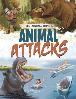 bokomslag Animal Attacks