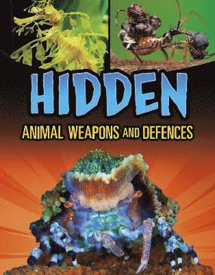 bokomslag Hidden Animal Weapons and Defences