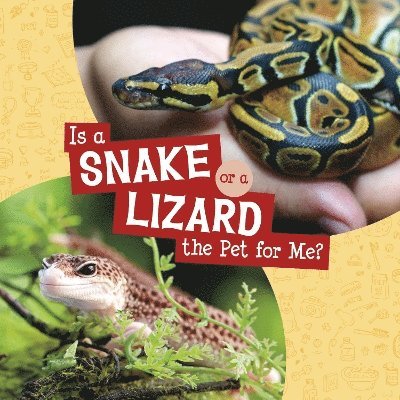 Is a Snake or a Lizard the Pet for Me? 1