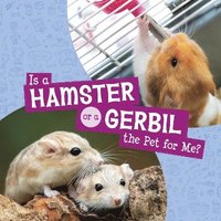 bokomslag Is a Hamster or a Gerbil the Pet for Me?