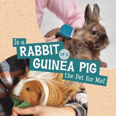 Is a Rabbit or a Guinea Pig the Pet for Me? 1