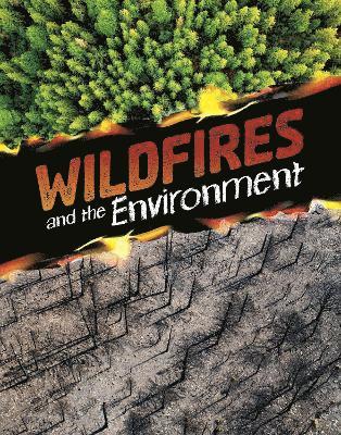 Wildfires and the Environment 1