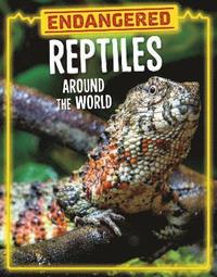 bokomslag Endangered Reptiles Around the World