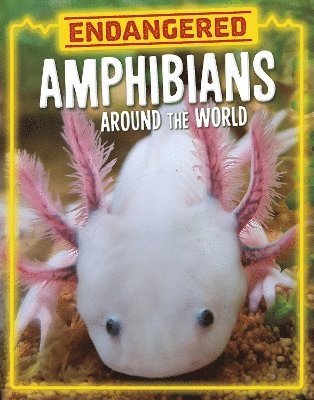 Lisa J. Amstutz - Endangered Amphibians Around the World, Inbunden