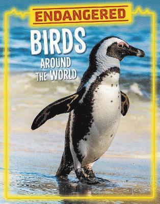 Lisa J. Amstutz - Endangered Birds Around the World, Inbunden