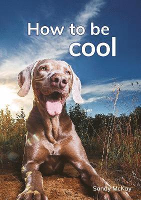 Sandy McKay - How to be cool, Häftad