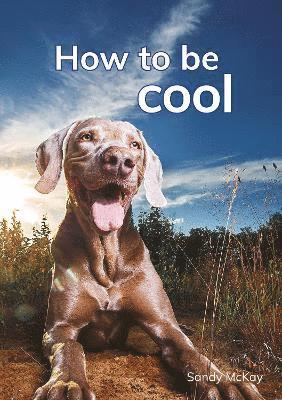 Sandy McKay - How to be cool, Häftad