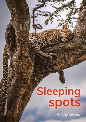 Sleeping spots 1