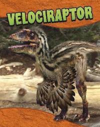 bokomslag Velociraptor