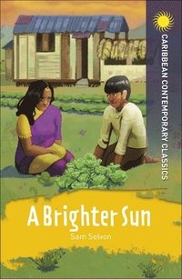 bokomslag A Brighter Sun