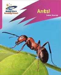 bokomslag Reading Planet: Rocket Phonics - Target Practice - Ants! - Pink A
