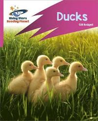 bokomslag Reading Planet: Rocket Phonics - Target Practice - Ducks - Pink B