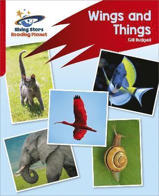 Gill Budgell - Reading Planet: Rocket Phonics – Target Practice – Wings and Things – Red B, Häftad