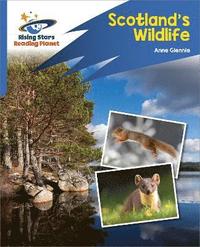 bokomslag Reading Planet: Rocket Phonics - Target Practice - Scotland's Wildlife - Blue