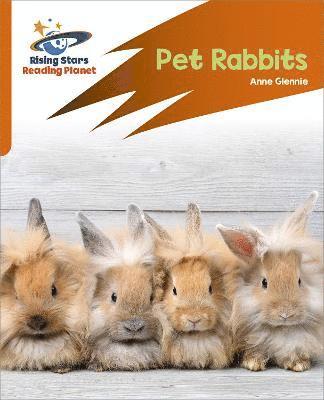 Reading Planet: Rocket Phonics - Target Practice - Pet Rabbits - Orange 1