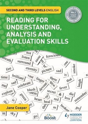 bokomslag Reading for Understanding, Analysis and Evaluation Skills: Second and Third Levels English