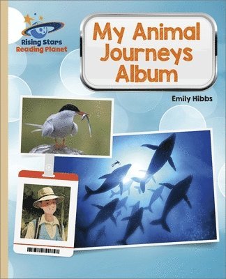 bokomslag Reading Planet - My Animal Journeys Album - Gold: Galaxy