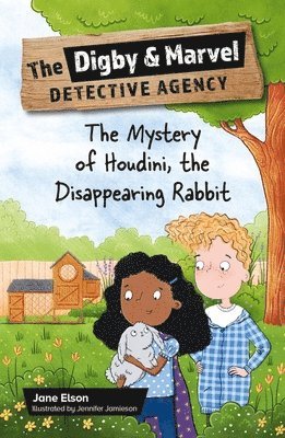 Reading Planet KS2: The Digby and Marvel Detective Agency: The Mystery of Houdini, the Disappearing Rabbit - Venus/Brown
